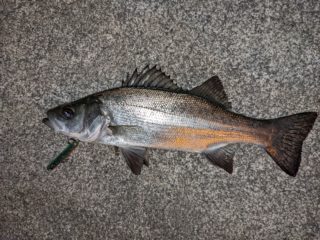 PXL_20220307_101206451