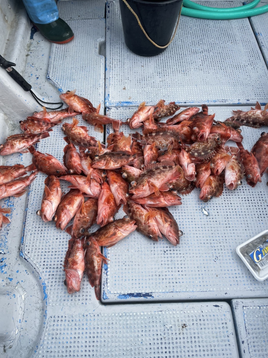 VKBtM0oKGa0VmxADwspILmxhl2ozXiYBdHa9G-h0qRoVezX9ZboQrFQcGbcbbE28RoehFtCoRPEi9fQN_FTp3OCA_6d9DDCzZdaIYF_sS9n8E9F7eFdQ-y3HKt0C9G8M