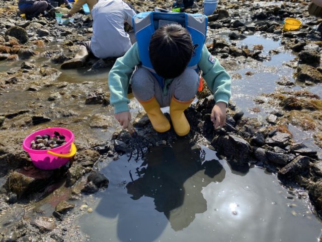 aElLNtSEQjzPJGvc87fLTYgeP9VkZWw8Y3ek2d0y7t5JzAn5tRza91NMJBz7wsyRyXQ2Z7UWnFuSfshmd7_Bkbl6GvAxDSAyXruvSJKO_Ap9xExzed4c8Y33sPALVc9F