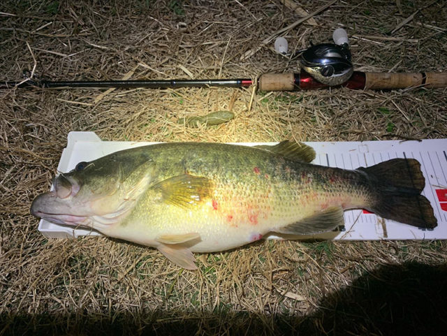 3月28日-サンジのパパ様