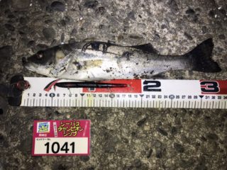 iJMGE0-z02JVAulGsskB0UXRYYEMSnhw_igQylHUcke9fil_pG6r4NB2tpx1Uv9tZHCZkPbZRlYNcH_Oav8qOUtjqifCPy00KX5VXblkGde2opXsekARGc4W34w6z4xu