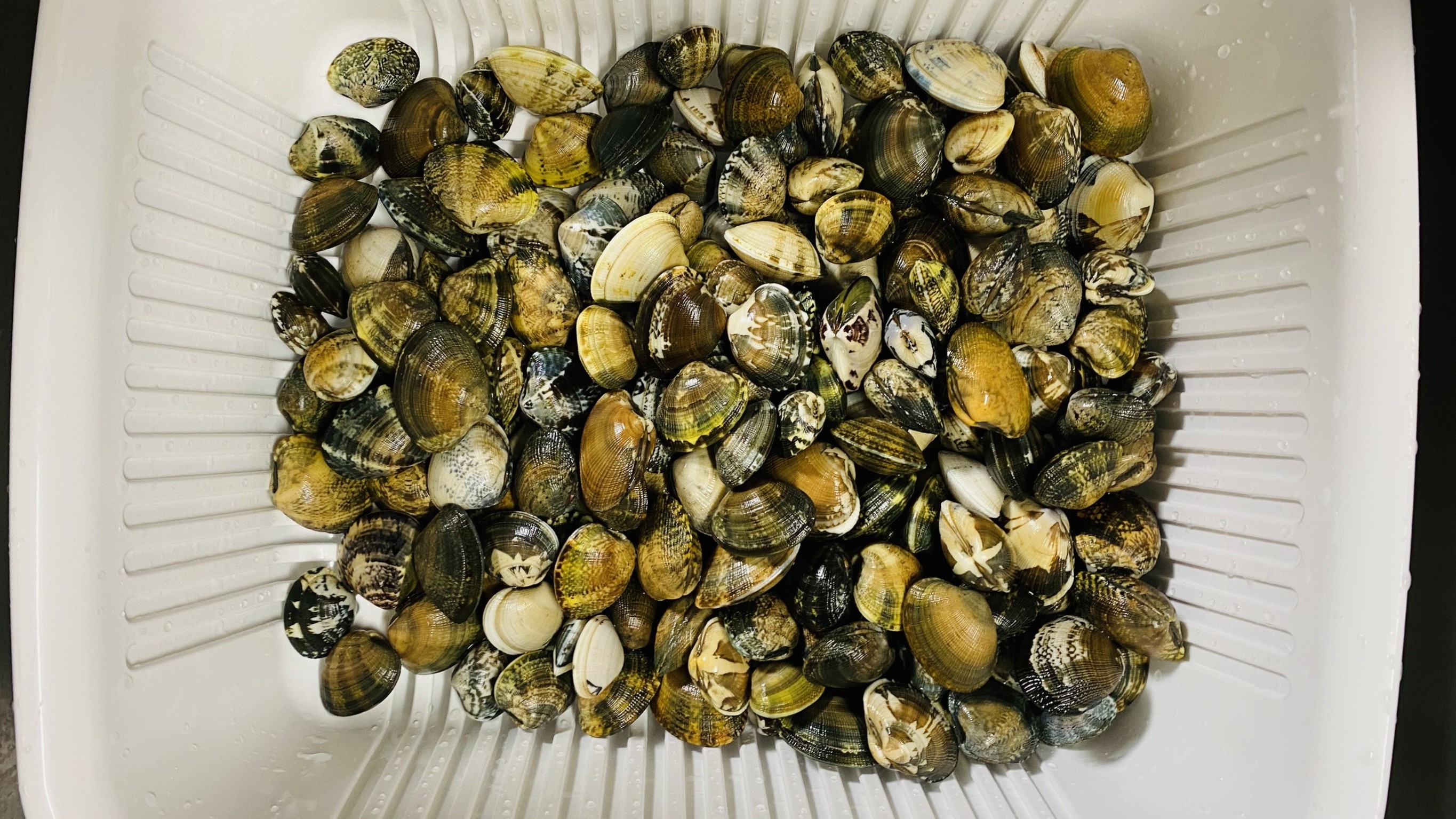 ivH887Fj_GPMIscbl9Fya21swkwdrlu_cCrughuHONyZILVhdGLfBWU4B6vT86I3a0iH9cdq25jKdA_7_rYLaSEZf8-128cmnq87prXiQO4ZLFcsJCPFZaTA71iqOotP