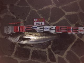 jpExXvzZEvzG_gjv7BjMcPelqhiRi0JKitxLKEWB3rGUQJ39VaVvCXHoxxY6k6zimIu6tbioWfK7d4X3mo1JG6N4UEI4O8X51uieEaMtx14B5ePV892qN5E03JHCq0XP