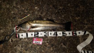 line_oa_chat_220320_111424