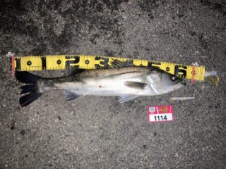 line_oa_chat_220320_112357