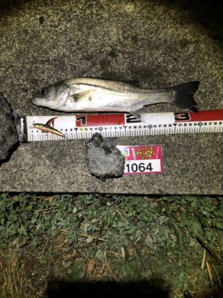 line_oa_chat_220320_113221