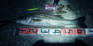 line_oa_chat_220320_115027