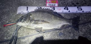 line_oa_chat_220320_115331