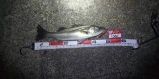 line_oa_chat_220322_165817