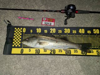 line_oa_chat_220322_170158