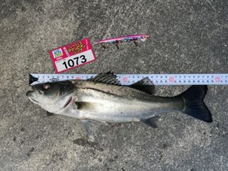 line_oa_chat_220322_170717