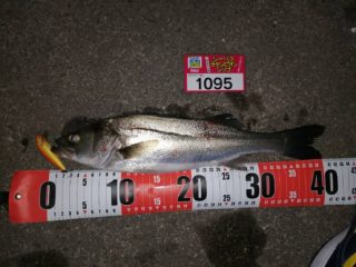 line_oa_chat_220322_170932