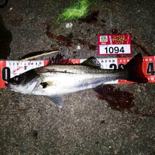 line_oa_chat_220322_171253