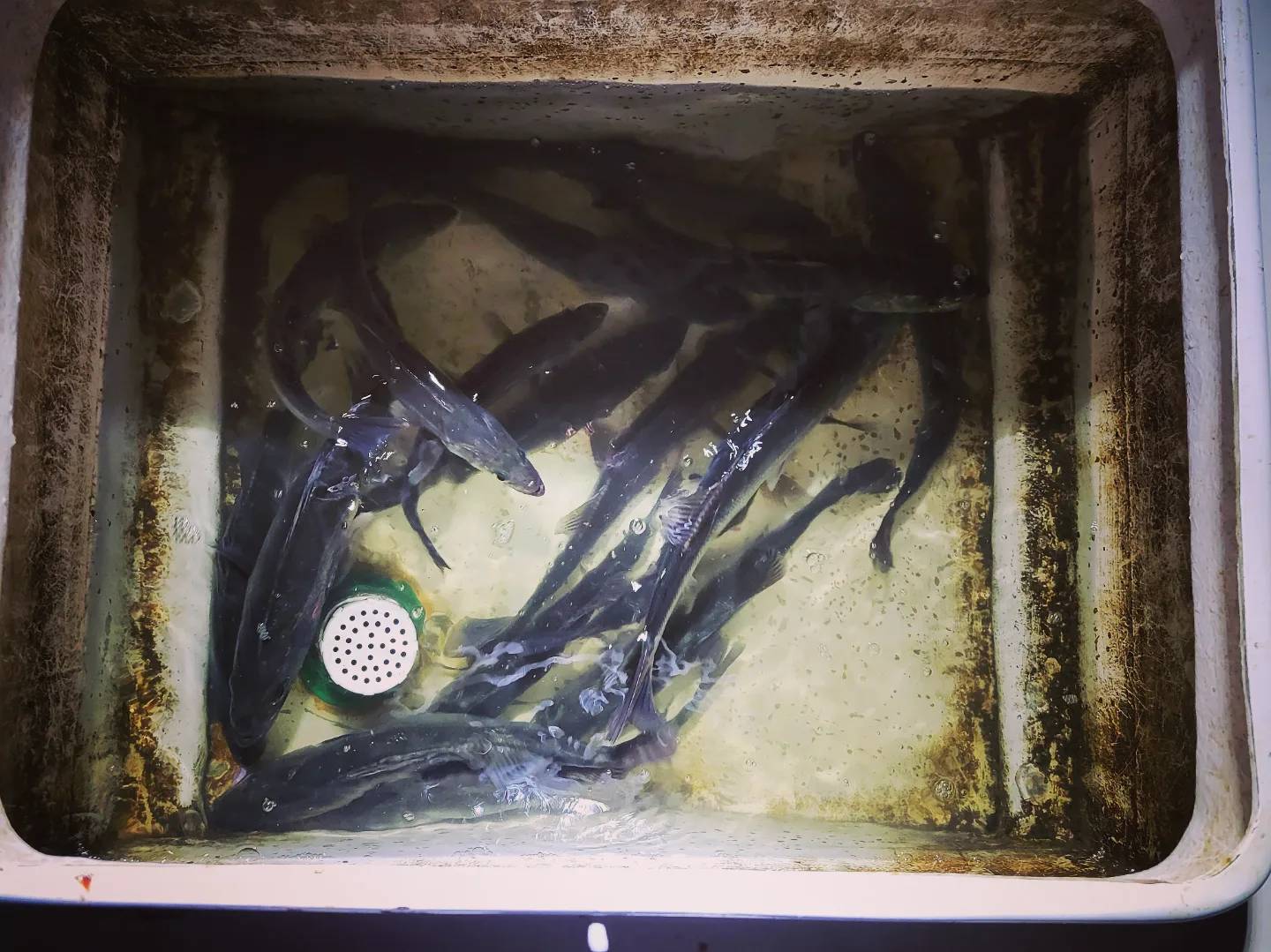 line_oa_chat_220326_153455