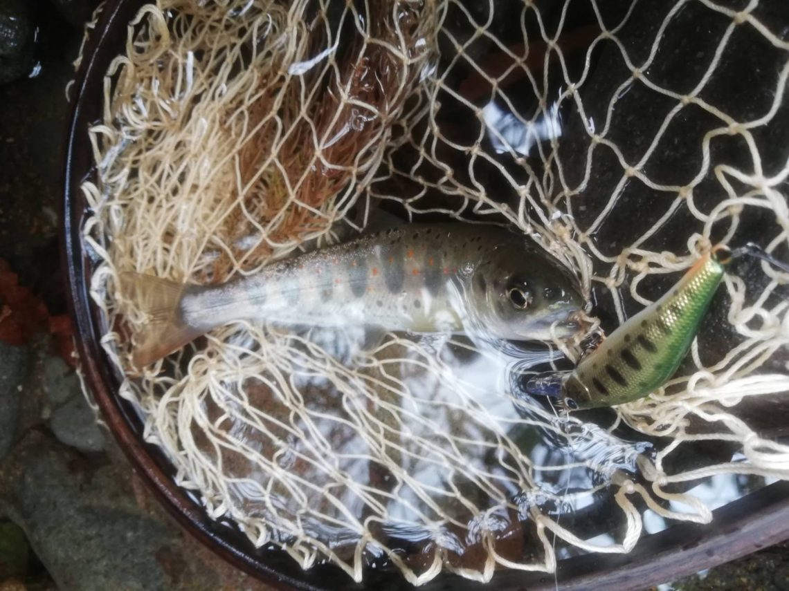 line_oa_chat_220330_202215