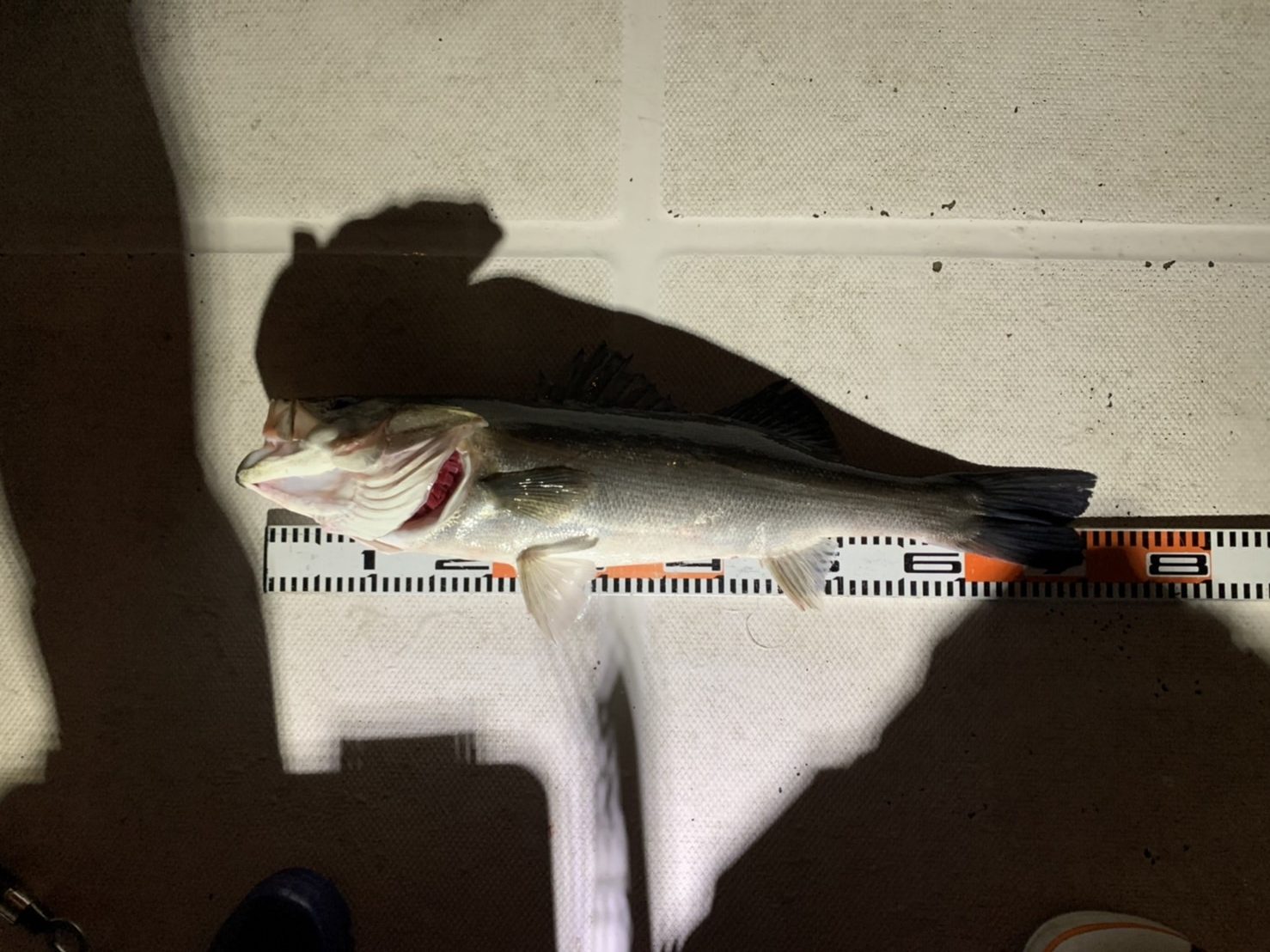 pAAGgEMaJbyYqfgrovExaKc4CWfubh6h69FOc0nOZdJvJHNkCL6aazdfiJM12hrXjL3EWMBDU8ZSPNEOIlmbuMLD8a9CYdxDy7lEUCwPv8McYKDzGWUG0HFGW5rCveTs