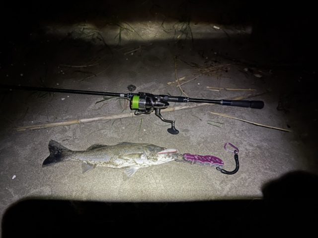 sheZT4wYwvGowAo9IAfmz717XuiVXKboR9_JRcSHHFNz_FuaaXOdN_pXbHM1vWitZwup2MMqbi7zHsV6JqoLwzIV6TmM55CYHINp9EPDbfzL2qQuAieBqzEXRCDplzBg