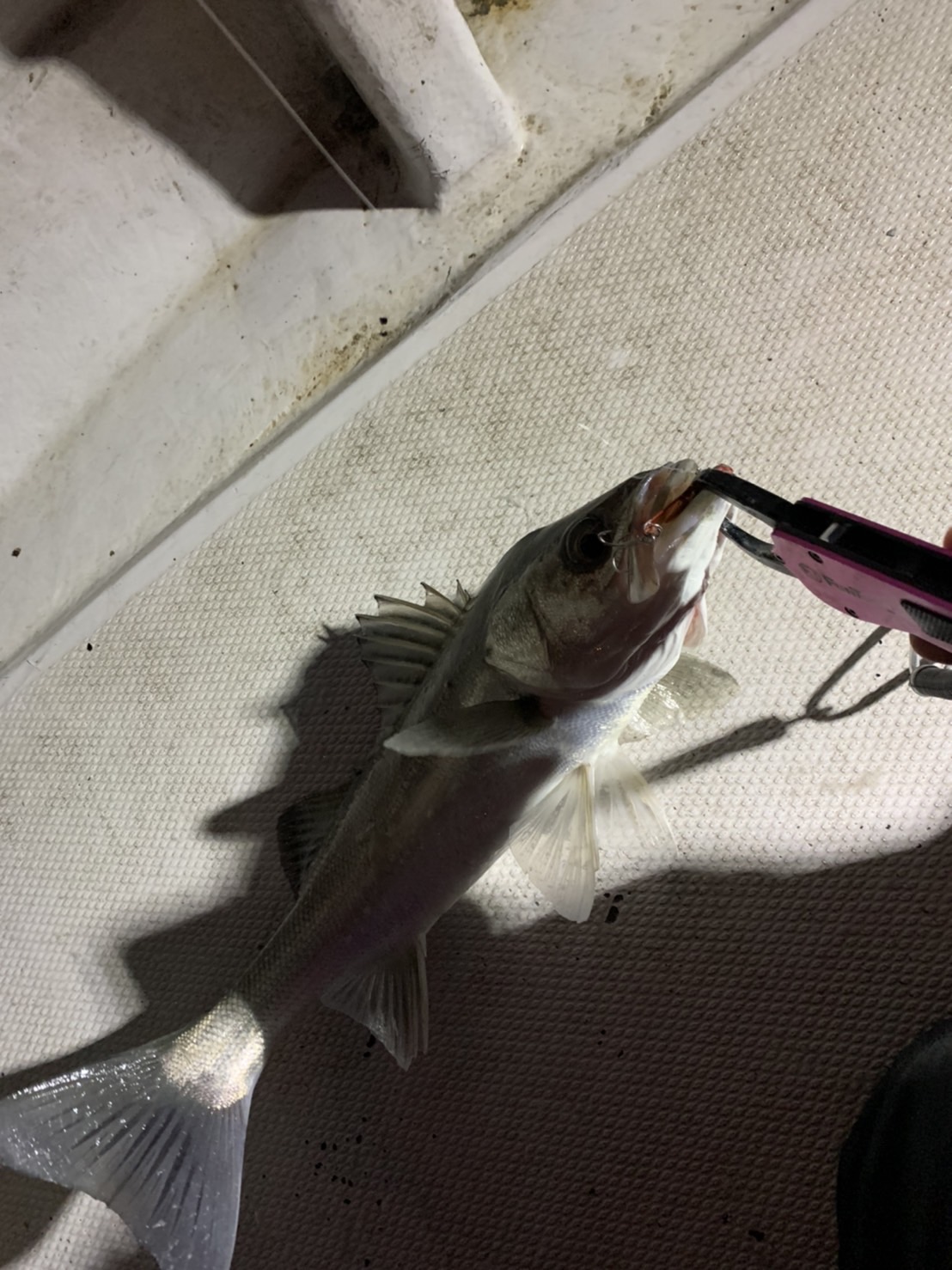 tdxi96lLuaq4nCDRGg2YozB1mNnQ91s4Hj01Ra31mZ5EhN1tub3xbtTq4ETJPyem52sNbZ68voz38aSCidlLOq0hDahNz3_QTAGFqFsNqZC7OXKi8uDNF8s8lbYUxLde