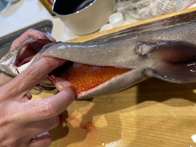 vu5oTXFIhYW625DZZwhp7hcEY_Vi1v9nMKXM6fYJKvRFzihm82R6eGX9ad6nYh945EKbUw0-i7IpVa133CG99-vgASpDELY0665V2rFs8qDGkPeWN4G09H7r38QHiOwj