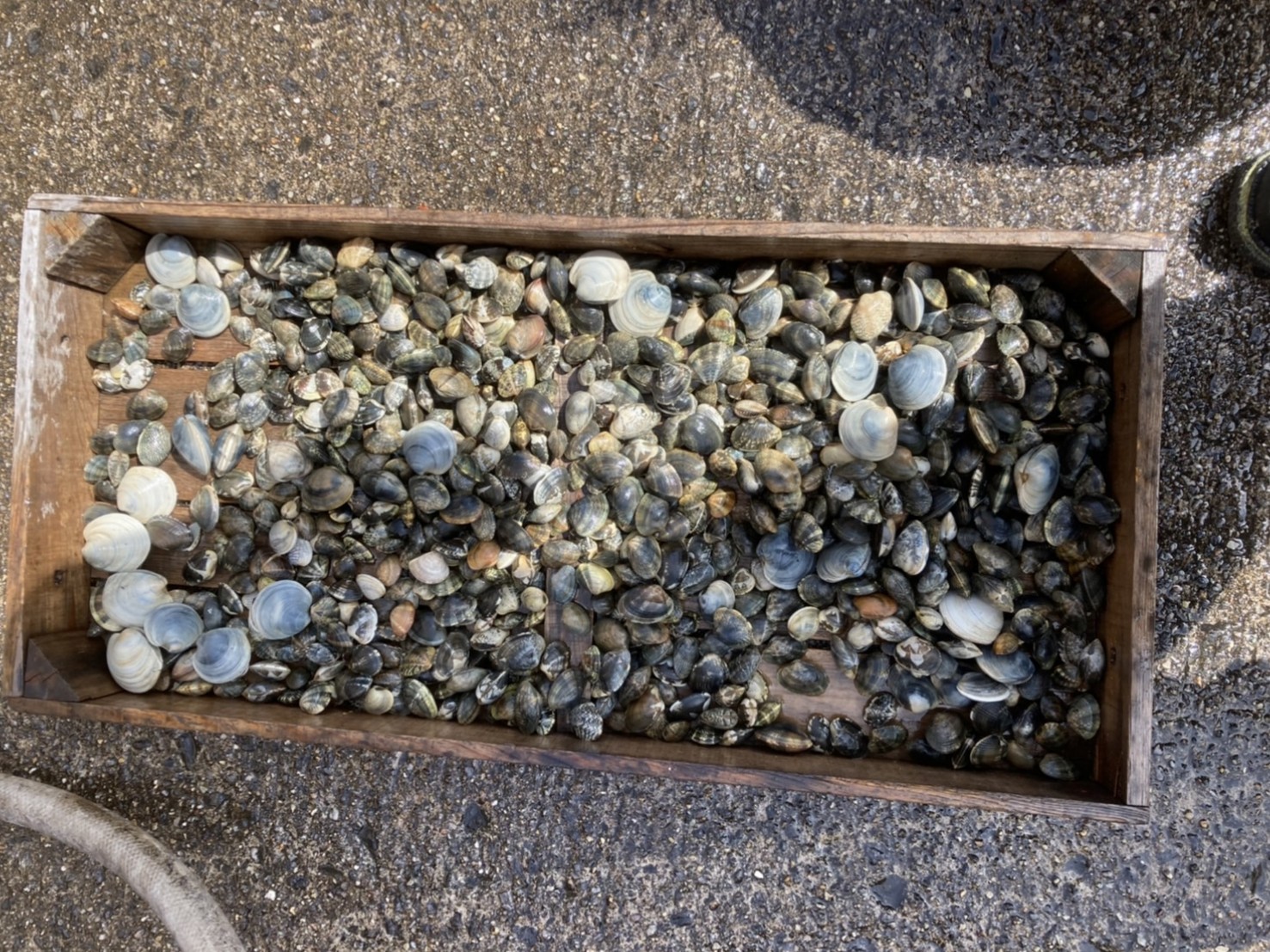 wa6gLQQ0MzGvR5SxYqkuxfUrVNYBs_7i2jH4vfxUVRlMbmpfodKe8qBIAR1SYLCBejSPvXn4iKyPInb5-731zLJofyJVHkr1CtSFUaErYYv74GKZFzHR8iaUh8mgqxPd