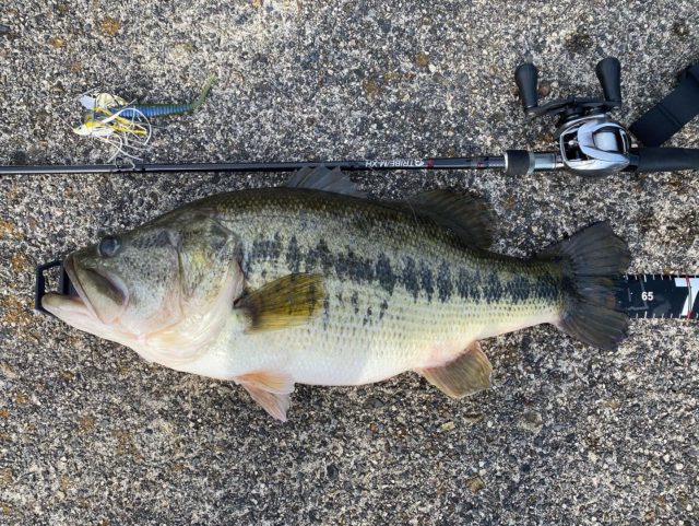 026b71f7-519f-4a3f-812e-cc3b3dc456a9