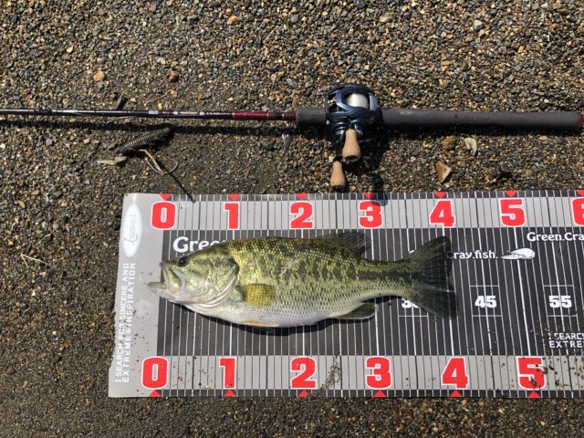 107D6B76-A097-461B-AA22-59CA69D03E64