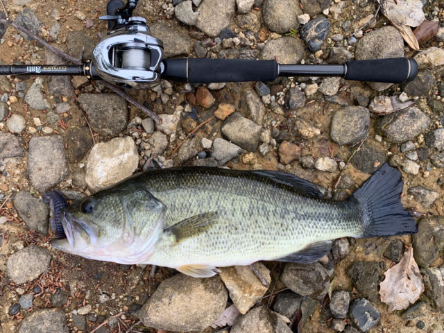 1c866c65-3cf4-453e-9b5e-755afdbd205a