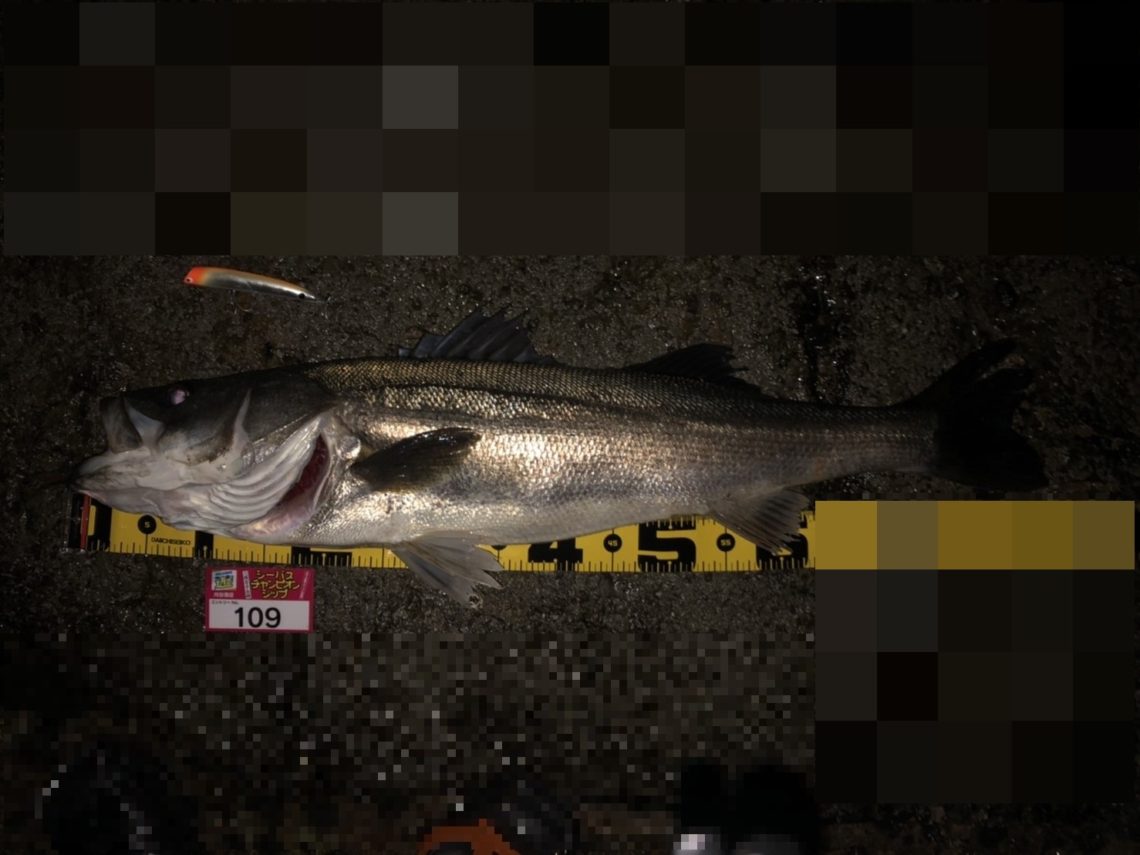 032204No.109keisuke suzuki様 - 3月中間用