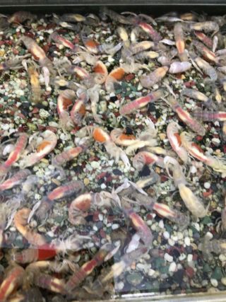 22665046-2283-4D2A-A7C8-2B9BDE26CB2B