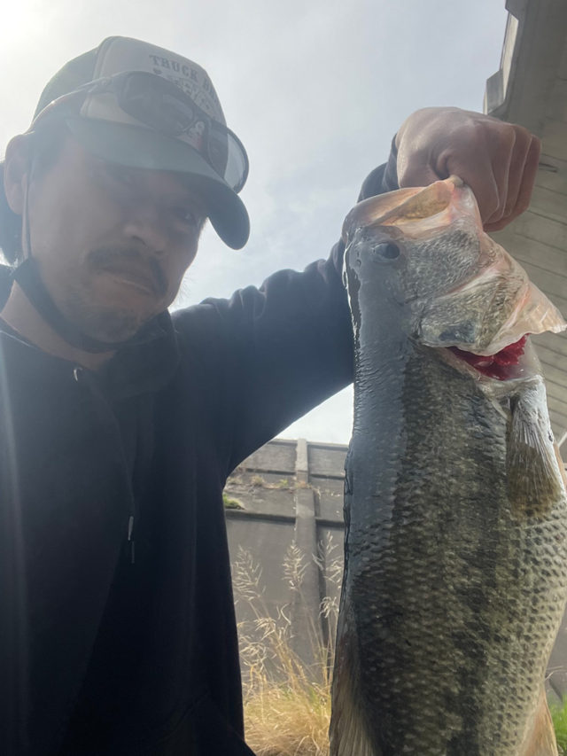 30df93e6-6ae8-4320-8e14-ee6837d1461e