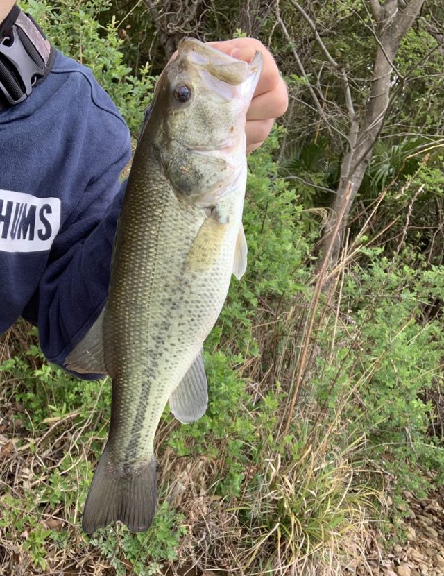 5V6AJmjMmF64D6JDqe31ho4FLr3Bc3k1eo4F9_GkcYS8e8_jvK6rmeH8yvTAvixB6SYFnTTExOvAF__yDo-4ASSBcoIVTWC8zpbn5i9Tw05c0vEG2M3UqOa2Uw_l8He9