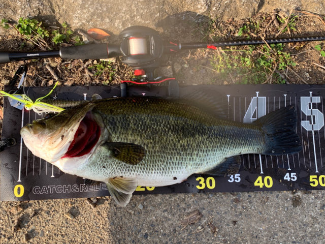 6e8526af-105d-4218-b6df-b5202050ae7d