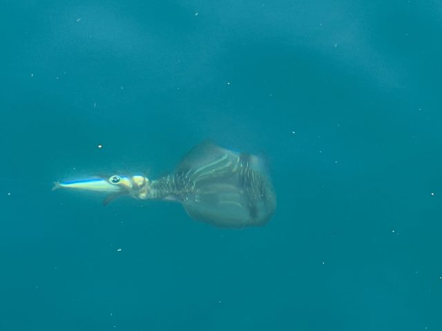 78AD950D-9C59-4083-9C08-D205A5E795B7