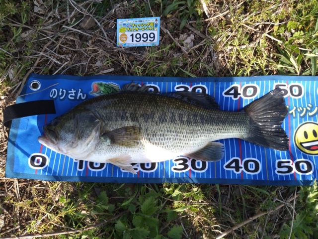 95b3c36c-201f-4481-a364-9ffb5f525d27