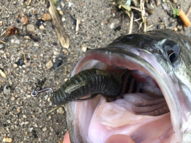 9905FFEF-2619-4463-8057-E46808E9B180