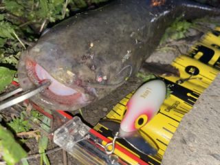 AC45B65F-BC49-43ED-9773-EE13C03A4ABB