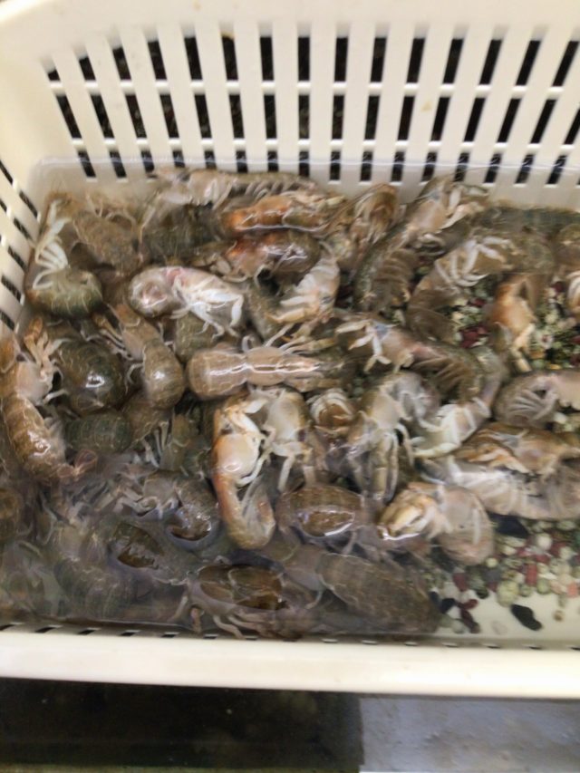 C8DC129C-3E74-478F-970C-E57B028F118E