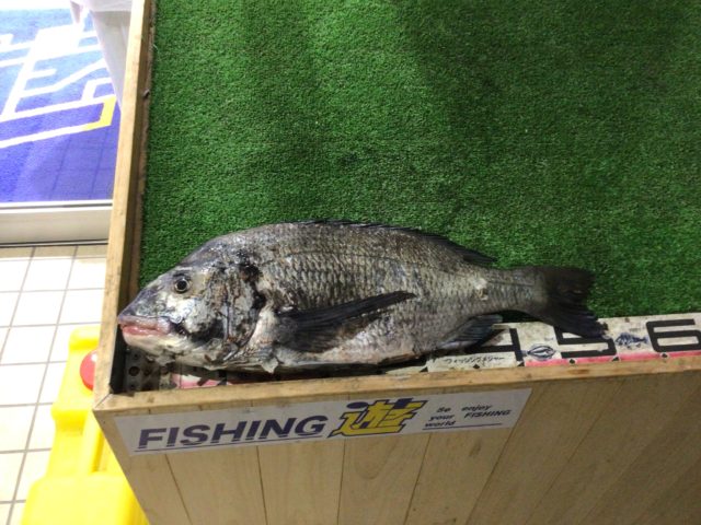 E7A86F16-4E09-4282-9D3E-137C506CB683