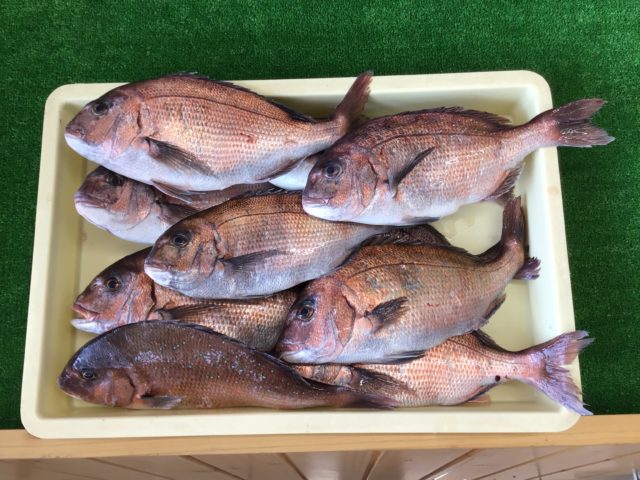 F78E16BA-6016-4A8F-8E54-362EA098C591