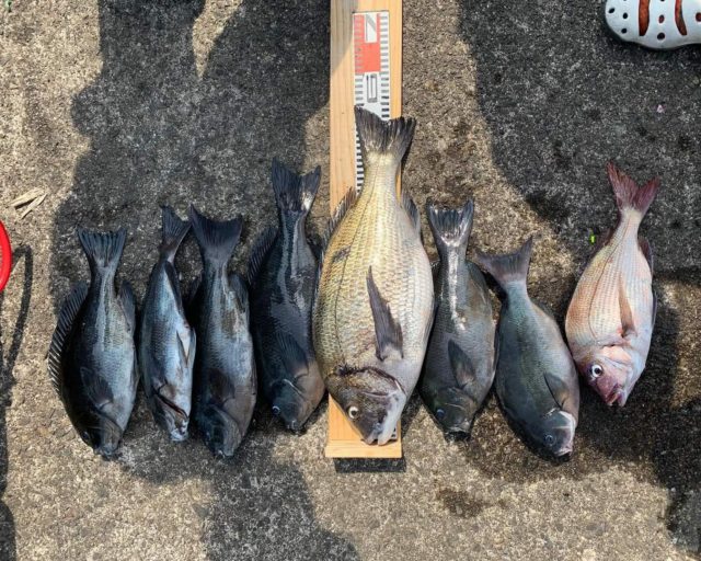 FB_IMG_1649320175530~2