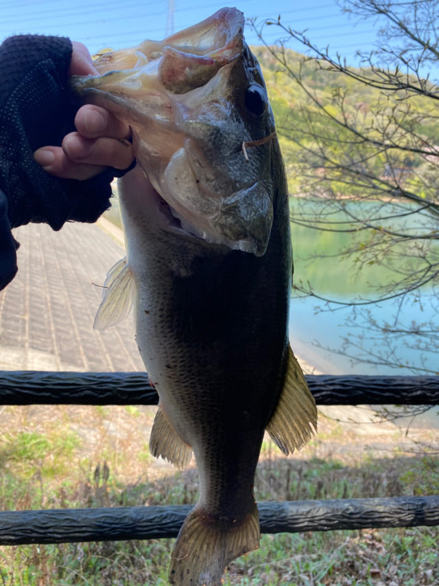 d3d51e36-e7f8-432b-9e8b-dd162a3e4cf9