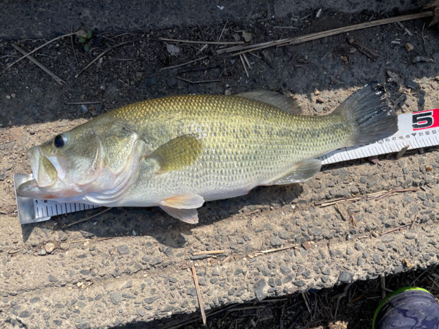 fb56dd5e-ed72-40bf-a860-8b895be4a6be