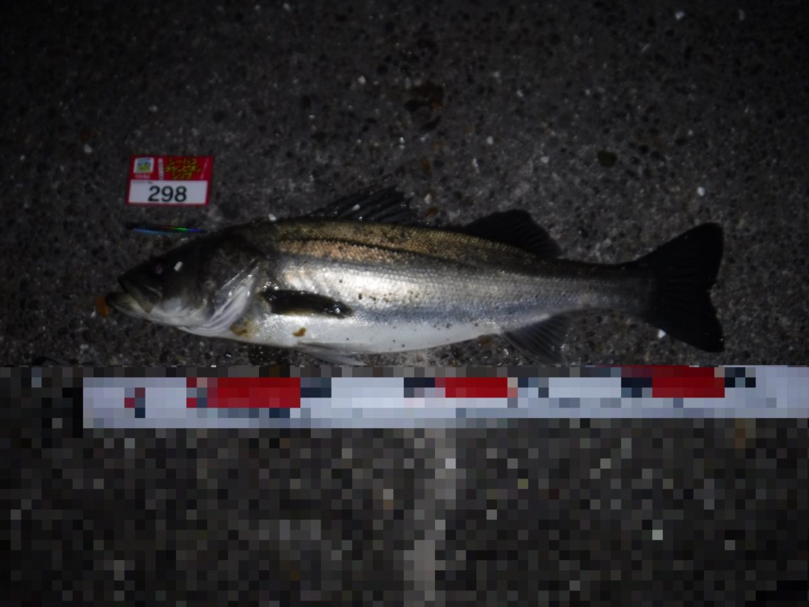 0307 298島貫 - コピー