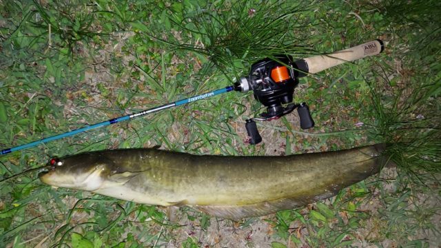 hkF0D8pmMDpJMqearJNZy1CbpCQtTsrW96BxLXdNri6ysq2oB84CLpl3NakK754iUA6yuyax_0rWfDRyEPwEidjoUQaYDK00DjAnl3pYbuZezcg2lydYSKy_rE_0tHz6