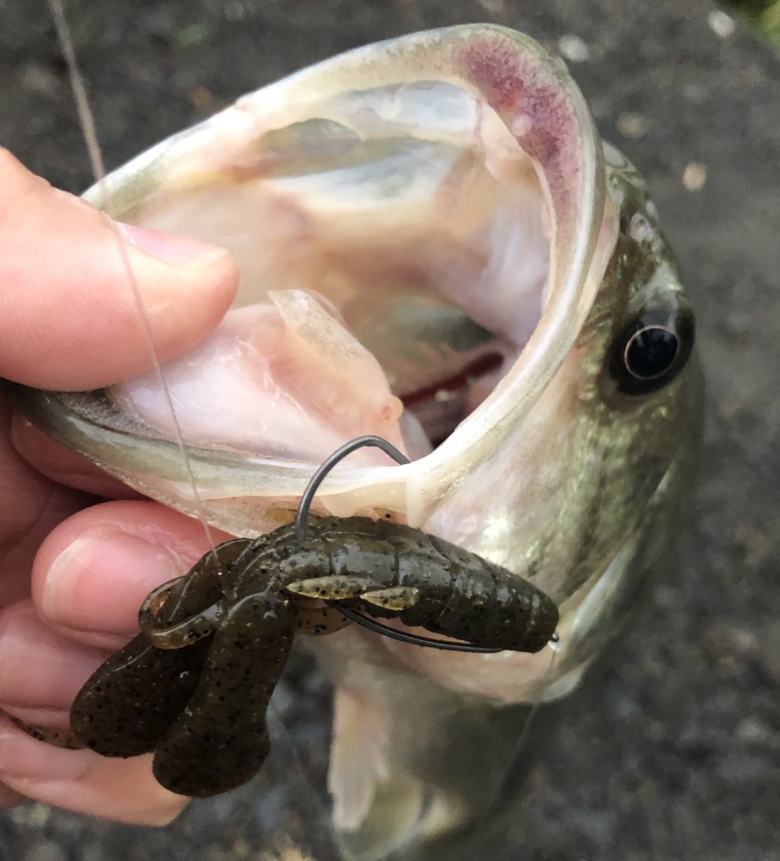 line_oa_chat_201011_122830