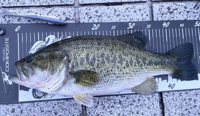 line_oa_chat_220406_201945