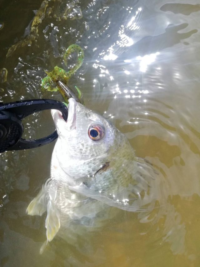 line_oa_chat_220414_152649