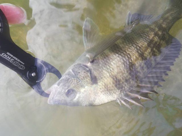 line_oa_chat_220414_152657