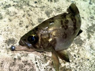 141998BA-FCF2-4B26-949A-9E7FCDB44EB1