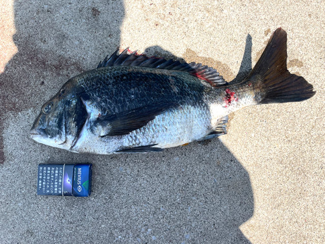 5月4日-よしかず様